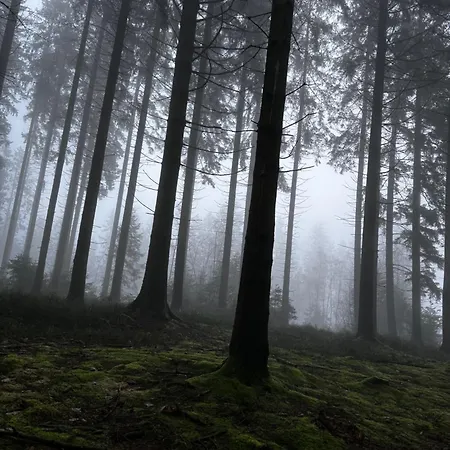 Apartamento Neozone Appart-hotel