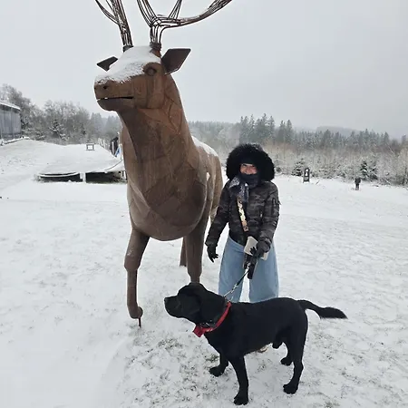 Neozone Appart-hotel *